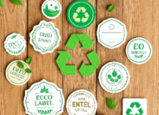 Linerless Labels Report
