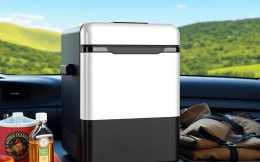 Compressor Car Refrigerator Report