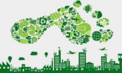 Carbon Footprint Management Report