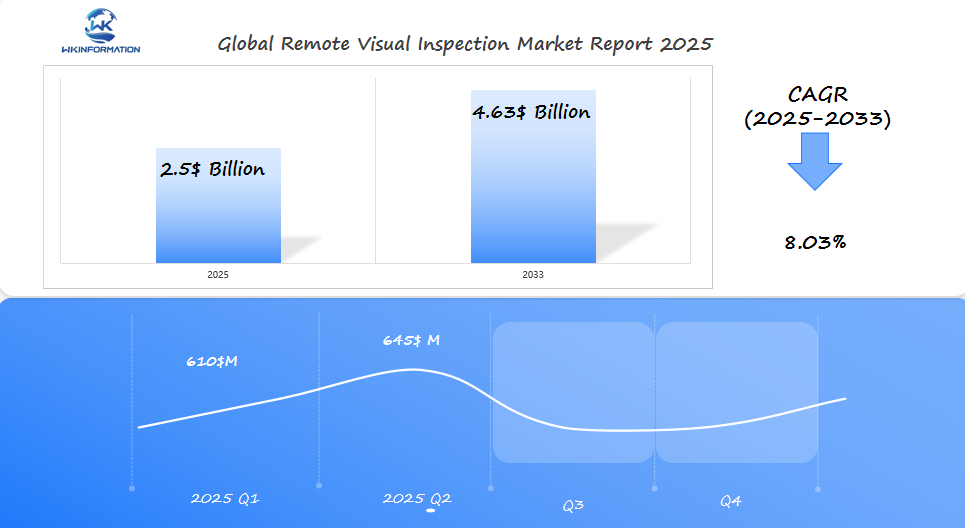 Global Remote Visual Inspection Market 2025 Q1 & Q2 Data