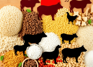 Animal Feed Ingredients Report