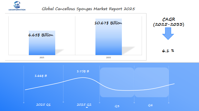 Global Cancellous Sponges Market 2025 Q1 & Q2 Data