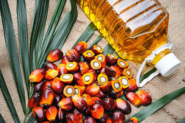 Palm Kernel Oil Report