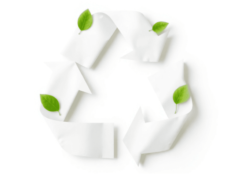 Paper Recycling Software Report